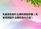 孔雀蓝色和什么颜色搭配好看（孔雀蓝搭配什么颜色简介介绍）