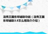 洛克王国东哥辅助功能（洛克王国东哥辅助3.8怎么用简介介绍）