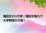海拉尔211大学（海拉尔有几个大学呢简介介绍）