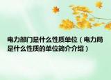 电力部门是什么性质单位（电力局是什么性质的单位简介介绍）