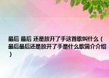 最后 最后 还是放开了手这首歌叫什么（最后最后还是放开了手是什么歌简介介绍）