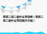 农历二月二是什么节日啊（农历二月二是什么节日简介介绍）
