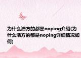为什么浩方的都是noping介绍(为什么浩方的都是noping详细情况如何)