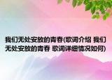 我们无处安放的青春(歌词介绍 我们无处安放的青春 歌词详细情况如何)
