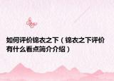如何评价锦衣之下（锦衣之下评价 有什么看点简介介绍）