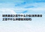 球员退役之后干什么介绍(球员退役之后干什么详细情况如何)