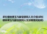 求红楼林黛玉与薛宝钗同人文介绍(求红楼林黛玉与薛宝钗同人文详细情况如何)