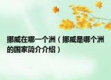挪威在哪一个洲（挪威是哪个洲的国家简介介绍）