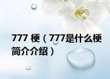 777 梗（777是什么梗简介介绍）