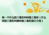 有一个什么的三角形叫钝角三角形（什么样的三角形叫做钝角三角形简介介绍）
