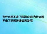 为什么回不去了歌词介绍(为什么回不去了歌词详细情况如何)