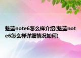 魅蓝note6怎么样介绍(魅蓝note6怎么样详细情况如何)