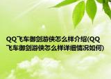 QQ飞车御剑游侠怎么样介绍(QQ飞车御剑游侠怎么样详细情况如何)