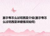 赛尔号怎么过塔西亚介绍(赛尔号怎么过塔西亚详细情况如何)