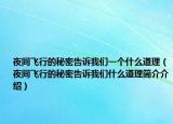 夜间飞行的秘密告诉我们一个什么道理（夜间飞行的秘密告诉我们什么道理简介介绍）