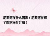 尼罗河在什么国家（尼罗河在哪个国家简介介绍）