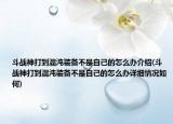 斗战神打到混沌装备不是自己的怎么办介绍(斗战神打到混沌装备不是自己的怎么办详细情况如何)