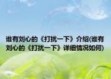 谁有刘心的《打扰一下》介绍(谁有刘心的《打扰一下》详细情况如何)