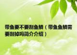 带鱼要不要刮鱼鳞（带鱼鱼鳞需要刮掉吗简介介绍）