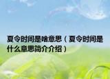 夏令时间是啥意思（夏令时间是什么意思简介介绍）