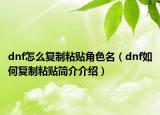 dnf怎么复制粘贴角色名（dnf如何复制粘贴简介介绍）