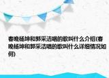春晚杨坤和郭采洁唱的歌叫什么介绍(春晚杨坤和郭采洁唱的歌叫什么详细情况如何)