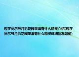 现在赛尔号月影花园里海有什么精灵介绍(现在赛尔号月影花园里海有什么精灵详细情况如何)