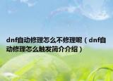 dnf自动修理怎么不修理呢（dnf自动修理怎么触发简介介绍）