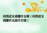闪亮近义词是什么呢（闪亮近义词是什么简介介绍）