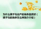 为什么獐子岛出产的海参品质好（獐子岛的海参怎么样简介介绍）