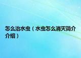 怎么治水虫（水虫怎么消灭简介介绍）