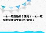 一心一意指是哪个生肖（一心一意指的是什么生肖简介介绍）