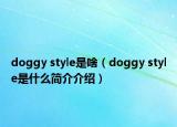 doggy style是啥（doggy style是什么简介介绍）