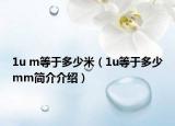 1u m等于多少米（1u等于多少mm简介介绍）