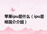 苹果ipu是什么（ipu是啥简介介绍）