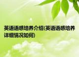 英语语感培养介绍(英语语感培养详细情况如何)