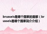 brussels是哪个国家的首都（brussels是哪个国家简介介绍）