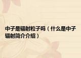 中子是辐射粒子吗（什么是中子辐射简介介绍）