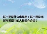 赵一平是什么电视剧（赵一民是哪部电视剧中的人物简介介绍）