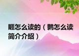 睚怎么读的（鹮怎么读简介介绍）