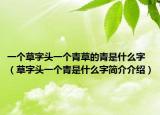 一个草字头一个青草的青是什么字（草字头一个青是什么字简介介绍）