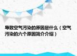 导致空气污染的原因是什么（空气污染的六个原因简介介绍）