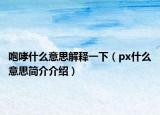 咆哮什么意思解释一下（px什么意思简介介绍）