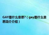 GAY是什么意思?（gay是什么意思简介介绍）