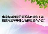 电流和磁通量的关系式有哪些（磁通乘电流等于什么物理量简介介绍）