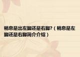 稍息是出左脚还是右脚?（稍息是左脚还是右脚简介介绍）