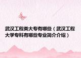 武汉工程类大专有哪些（武汉工程大学专科有哪些专业简介介绍）
