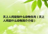 天上人间是指什么动物生肖（天上人间是什么动物简介介绍）