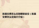 医保交费怎么交到哪里去交（医保交费怎么交简介介绍）