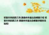 初音未来的西江月(原曲伴奏是出自哪里介绍 初音未来的西江月 原曲伴奏是出自哪里详细情况如何)